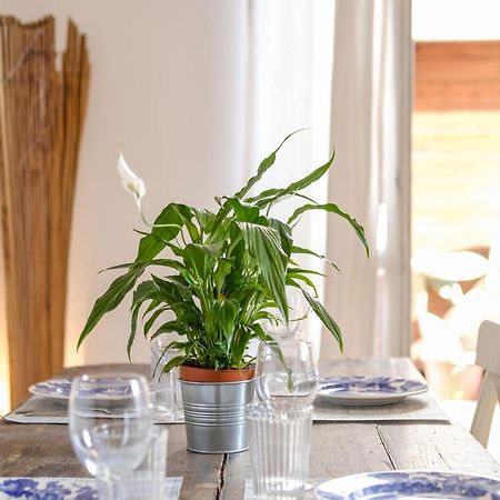 Spacious Apartment With Big Terrace At Colosseum Рим Экстерьер фото